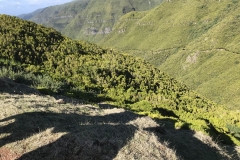11_IMG_5759